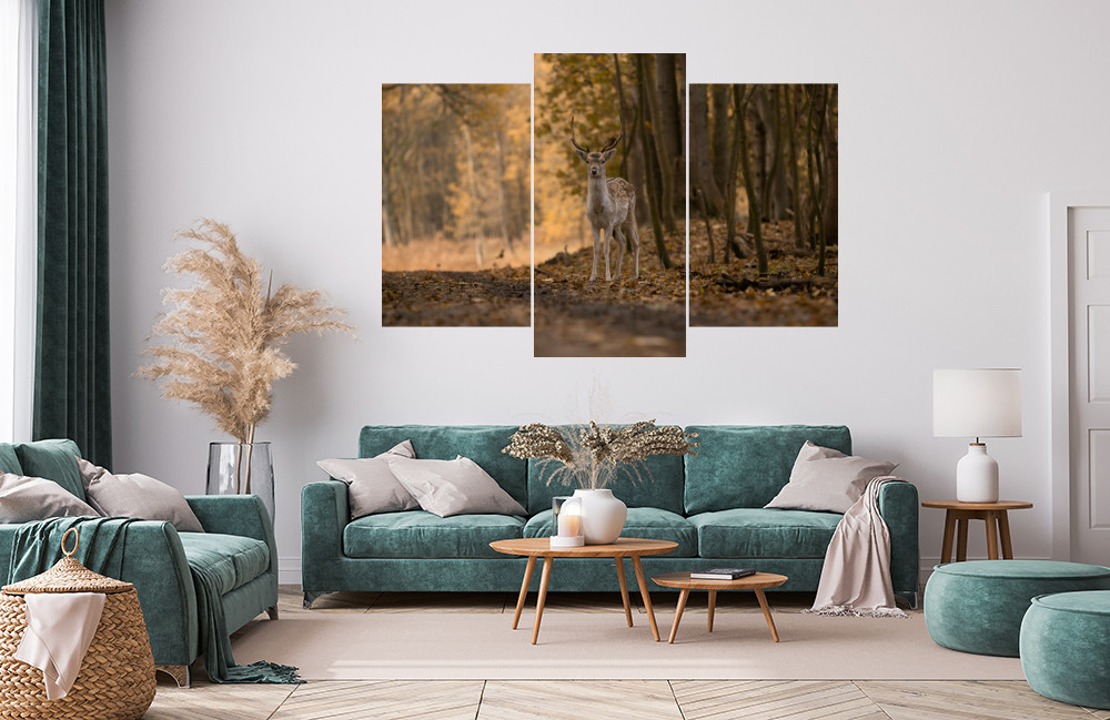 Daněk u lesní cesty