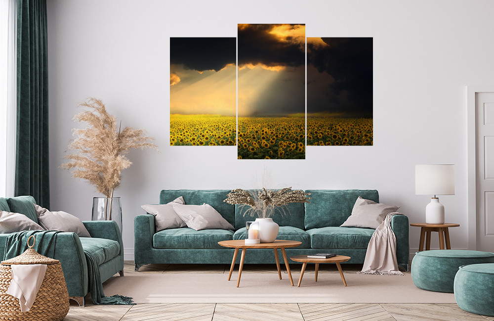 Bouřlivé pole slunečnic